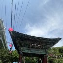 임자중학교 | [장소기록] 화계사 : 부처님 오신 날 기념 절 구경 (실시간 화계사는 지금) 🪷
