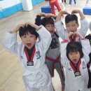 용인대쌍용태권도 이미지