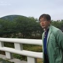 부케팔로스 이미지