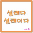 설레이다 이미지
