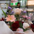 힐링 원예 교실 이미지