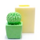 천연비누&석고방향제 만들기 이미지