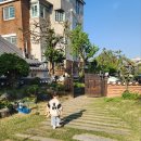 새움민박 | 전북 전주 숙소_한옥마을 내 주차 가능한 조경이 예쁜 가성비 숙소 이오당 솔직후기 + 한옥마을 즐기기