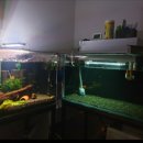 어항 세탁소 이미지