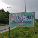 동해유정란농장 | 생생정보 닭코스요리 식당 위치 강진 정성으로 직접 만드는 식당