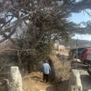 카페뒷길 | 강화도 카페 프란쓰 | 분위기 있는 한옥카페 내돈내산 재방문 후기