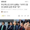 부산엑스포 유치 실패는 “사우디 왕권 강화와 금전 투표” 탓? 이미지