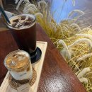 초당커피정미소 이미지