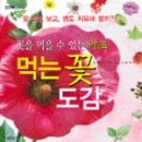 중부꽃화원 이미지
