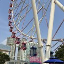 카페미밍코 | 울산 애견카페 미밍코 삼산 대관람차 300평의 야외운동장