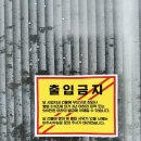 사또전통보신탕