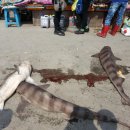 아름다운 여행 이미지