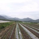 현재농장 이미지