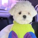 이천종합동물병원 이미지