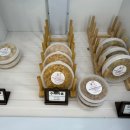 멍청하개 이미지