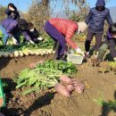 서강석농장 이미지