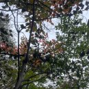 오소재약수터 | 해남 두륜산 최단코스 오소재 약수터(주차장) 가련봉 정상 원점회귀 해남 1일2산