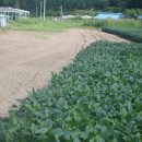 삼성사슴농장 이미지