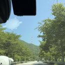댕댕클럽 | 2026 댕댕트레킹 다녀왔어요! 30도 폭염 속 3km 완주 후기🐶☀️
