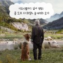콜플러스 | 디즈니플러스 실사 영화 콜 오브 더 와일드 줄거리와 후기