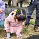 옥수수 씨뿌리기활동🌽 이미지