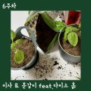 흙 이미지