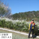 곡송초등학교 이미지