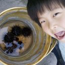 설악파인리조트 이미지