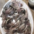 싱싱강남어시장 이미지