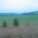 우리사슴목장 이미지