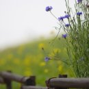 (주)황금바다 이미지