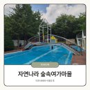 야채나라 | 이천 자연나라숲속여가마을 수영장 후기