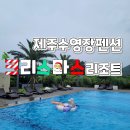 동서세탁소 | 제주 수영장 펜션 넓고 가성비 좋은 크리스마스 리조트 솔직후기