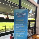 광주 애견카페 하늘정원 방문후기