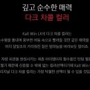 광썬팅