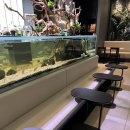 여주-0364 | 강남역 역삼역 이색카페 <슬로우커피> 귀여운 거북이가 있는 파충류 카페