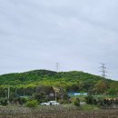 기승 #29 : 첫 한라마 기승 (@엘리트 승마스쿨)