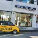 멍해피 애견유치원&호텔 이미지
