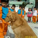 마루유치원 Daum카페