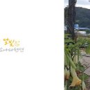 달빛추억펜션 이미지