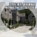반스힐리조트 | 홍천 숙소 추천! 독채 풀빌라, 반스힐리조트 솔직후기 (자세한 소개 영상 포함)