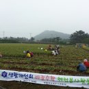 이광석농장 네이버블로그