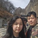 알콩달콩 흑염소 이미지