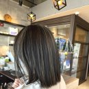 다올하우스 이미지