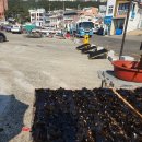 감성시쓰기 이미지