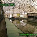 약수 낚시터 이미지