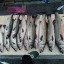 마린보이호 이미지