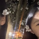 한얼갤러리 이미지