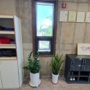 신안마원 이미지