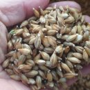 복덕농장 이미지